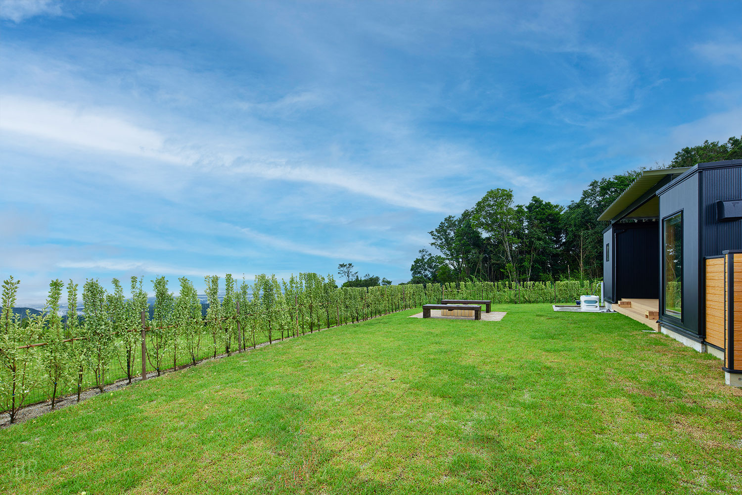 ペットフレンドリーなお部屋